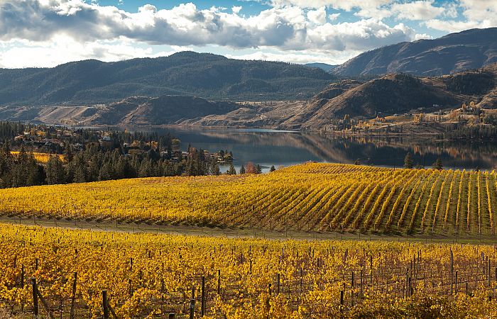 Okanagan Fall Wine Festival - Valley First Presents Après Crush- South 